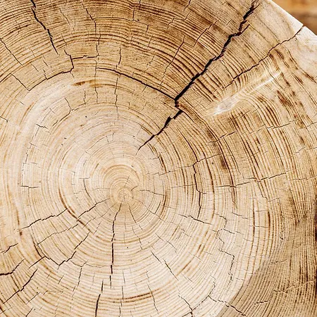 Prázdninový dům Blockhaus - Your Austrian