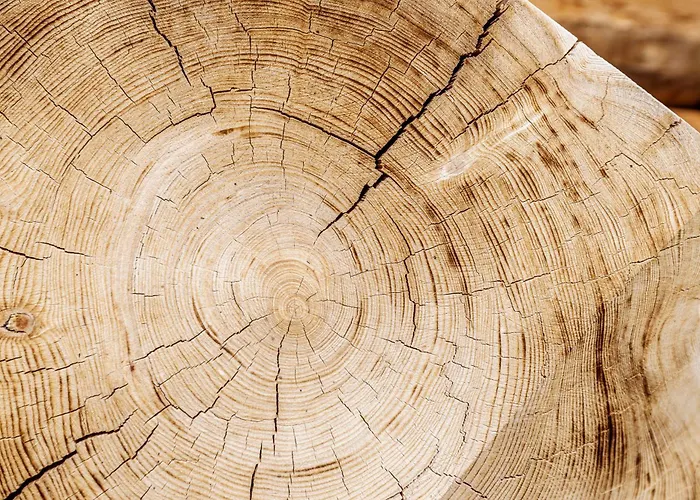 別荘 Blockhaus - Your Austrian